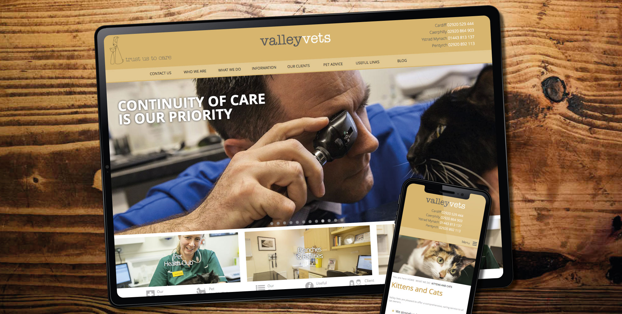 Web design in Cardiff for vets practice